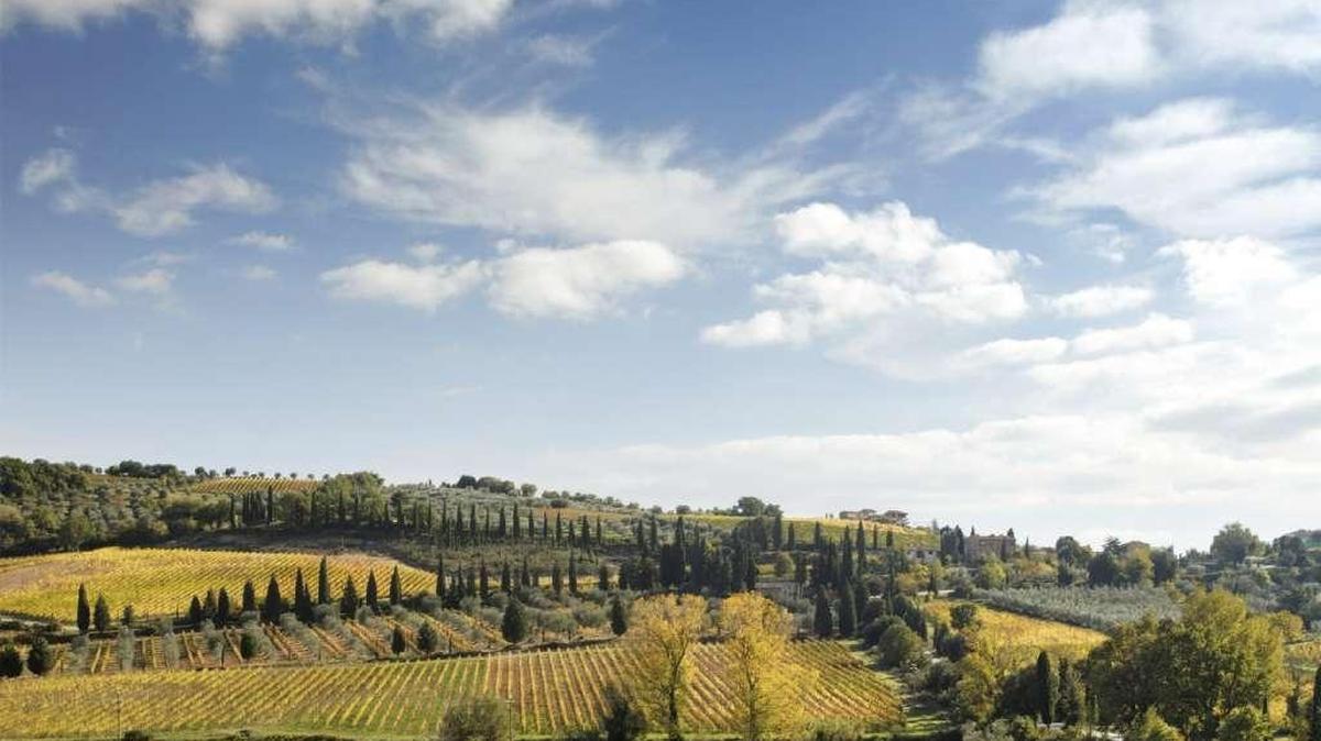 It’s cheaper to take a Tuscan wine class than it is to take a trip to Tuscany.