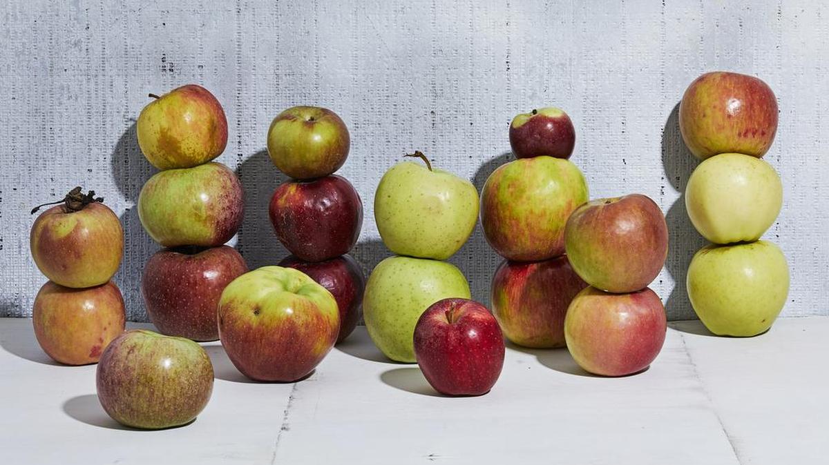 Cooks need to know how certain apples stack up against the others.