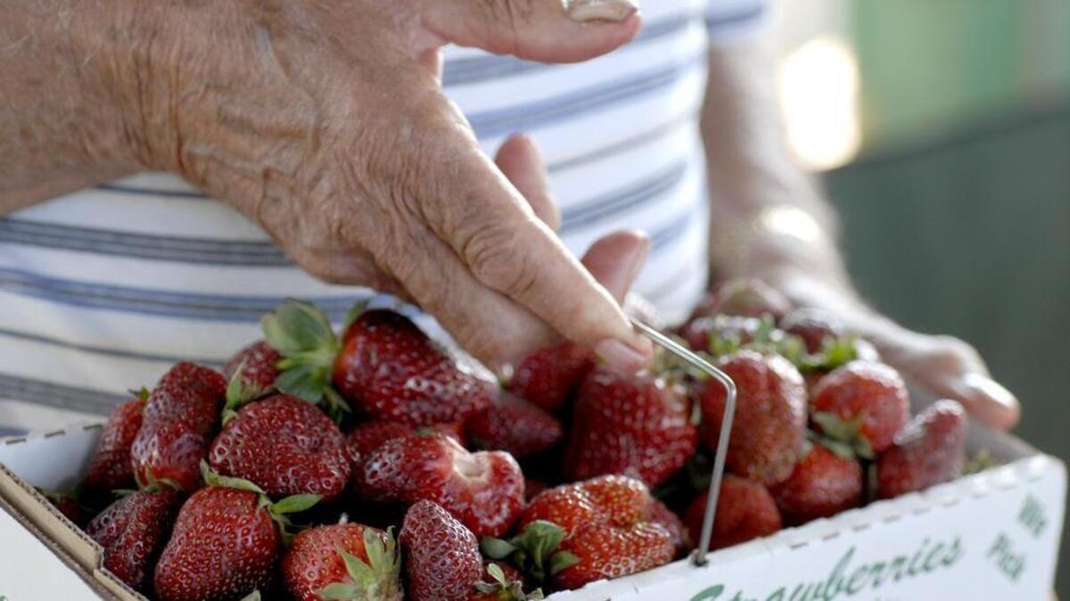 It’s time to get out in the fields to pick your own berries.