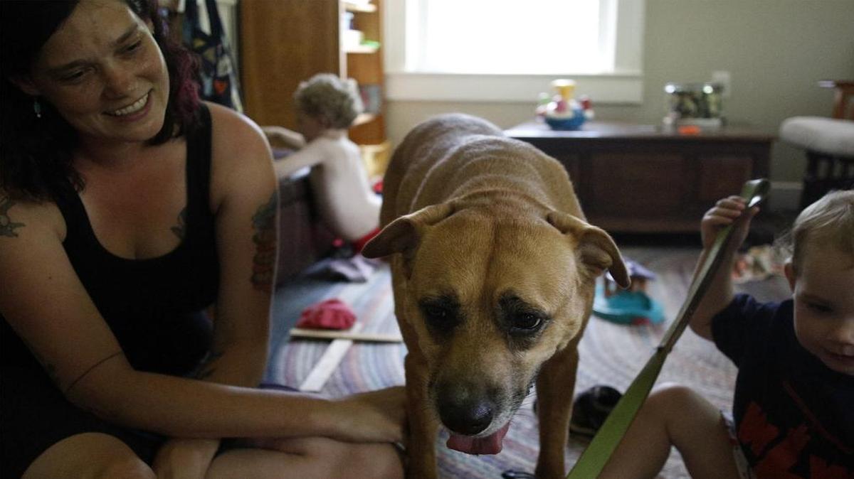 
Sara Brinson, left, looks at her dog Honey, while Sorrel Brinson, right plays with Honey's leash in Pittsboro, NC on July 6, 2015. A new study shows that some people love their dogs as much as their children.
