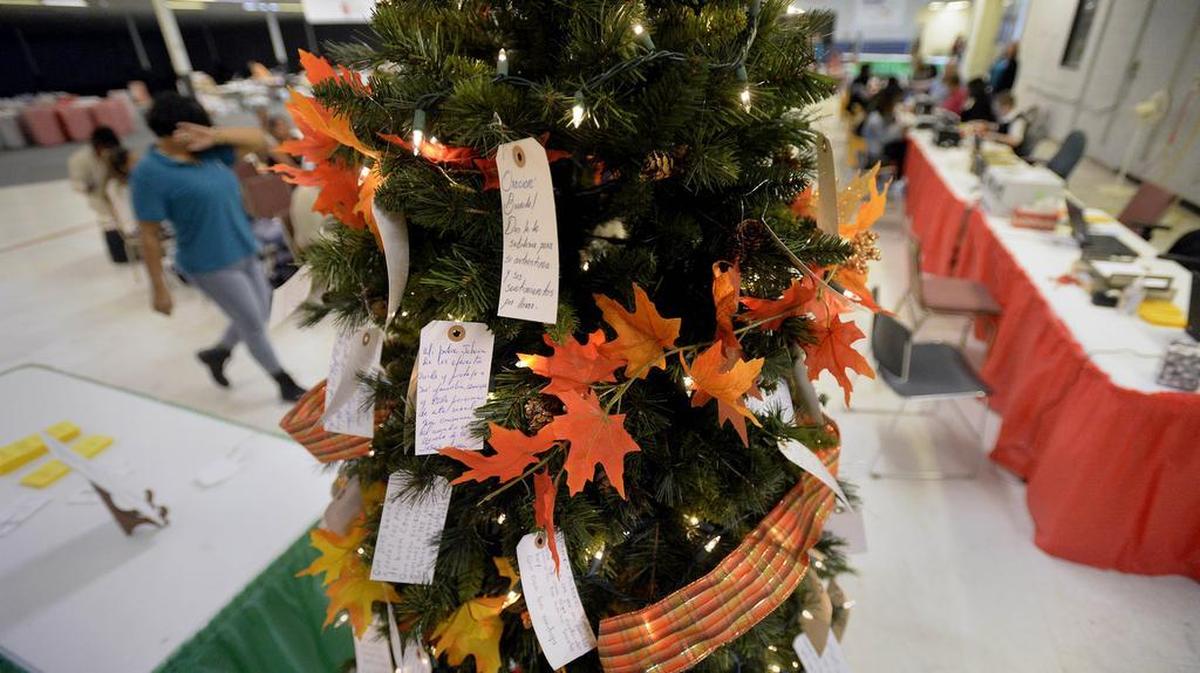 Tags with prayers are hung on a prayer tree at the Salvation Army's Christmas Bureau on Oct. 31, 2017.