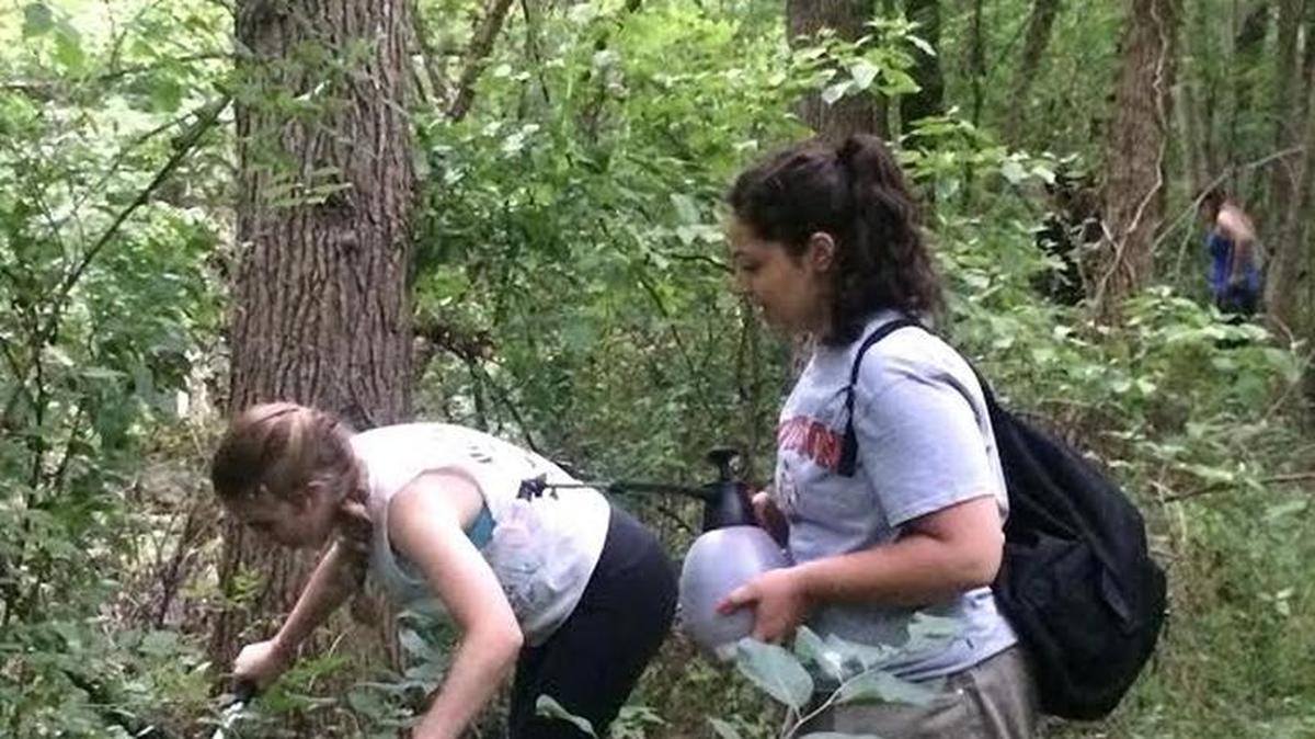 
“Get Out and Give Back Volunteer Workday on the Fourney Creek Trail”:  Aug. 22, 9 a.m. - 12 p.m. Carolina Thread Trail, 1601 Forney Creek Parkway, Denver. Join Trail Masters and volunteers to help trim vegetation overgrowth, manage invasive plant species and help with the sustainability of the trail. Register in advance, adults 16 and older, online information: www.carolinathreadtrail.org/cervis-volunteer-event-registration 704-376-2556. 
