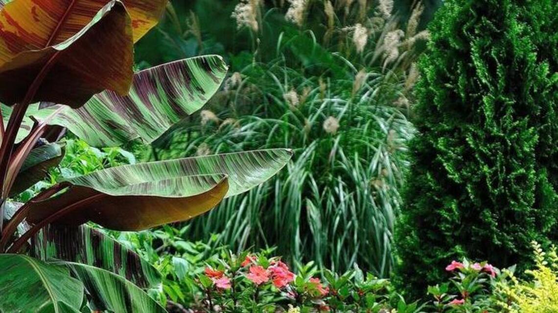 Make your garden glow with yellow