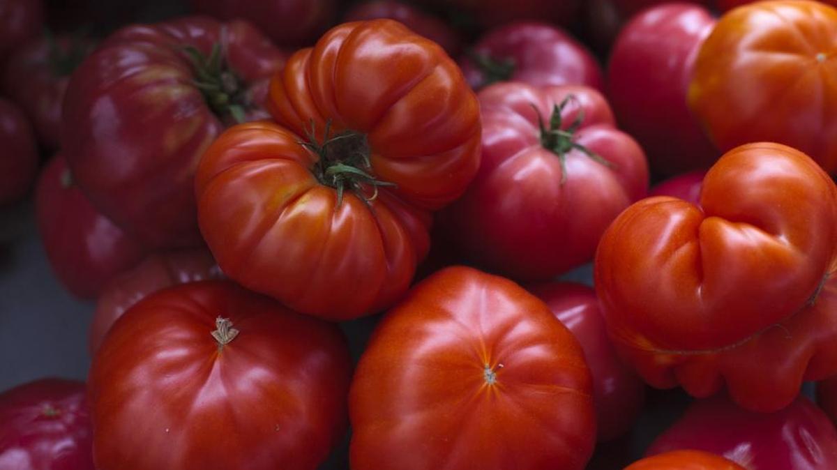 As summer begins to wind down, evaluate your flowers and vegetables for their performance in your garden.
