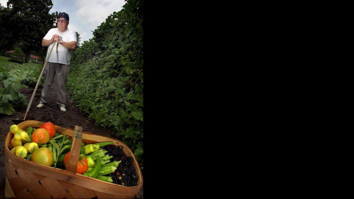 
Your garden needs at least six hours of direct sunshine daily. More is better. Since trees are still leafing out, keep in mind that the picture could change in a few weeks. Notice, too, shade that may be cast by the house or garage in the morning or afternoon.




