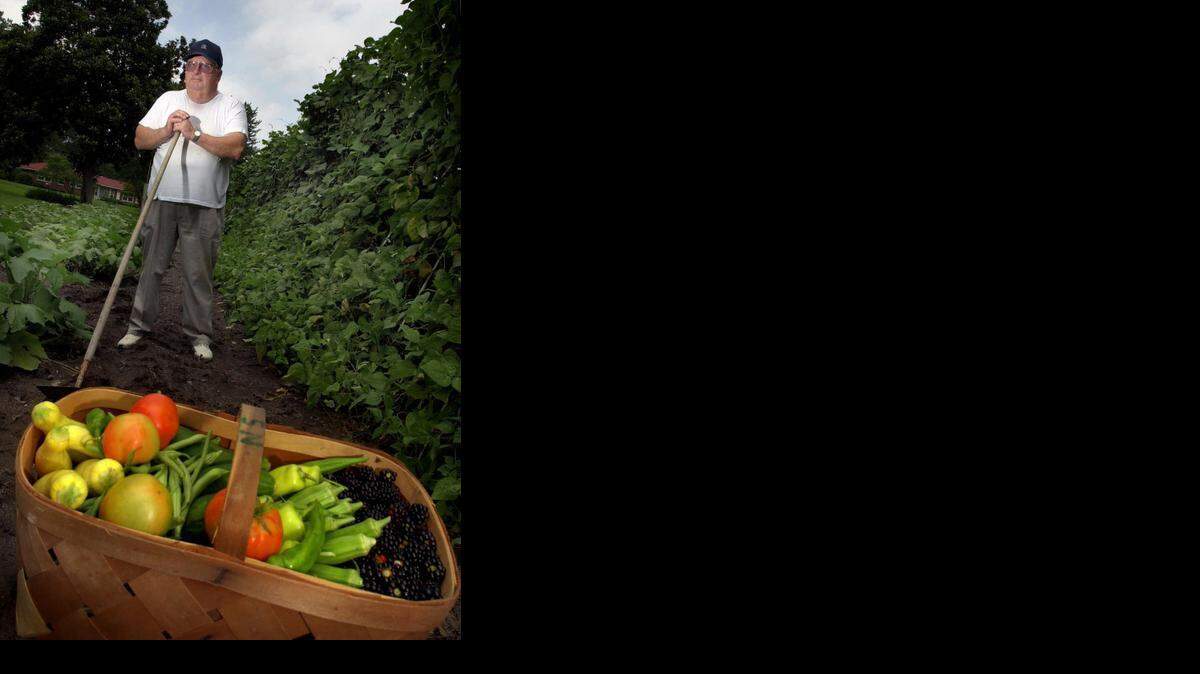 
Your garden needs at least six hours of direct sunshine daily. More is better. Since trees are still leafing out, keep in mind that the picture could change in a few weeks. Notice, too, shade that may be cast by the house or garage in the morning or afternoon.




