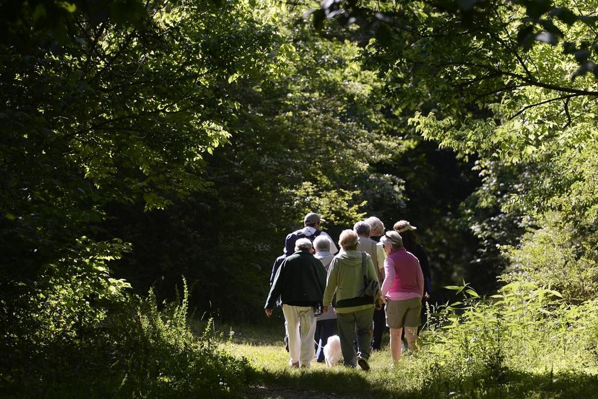 
“Envirocaching: Finding Backyard Buddies”: Sept. 12, 1:00 p.m. Charlotte Nature Museum, 1658 Sterling Road. Join our naturalists for a GPS exploration and scavenger hunt meet. You’ll use a GPS unit to track down and discover many of our environmental treasures, as well as learn more about the biodiversity and natural resources of the Piedmont. Members free, non-members $8 per person, children under 2 free. Advance tickets: charlottenaturemuseum.org 704-372-6261 x300 or in person. Activities included with Museum admission. Children under age 16 must be accompanied by an adult.


