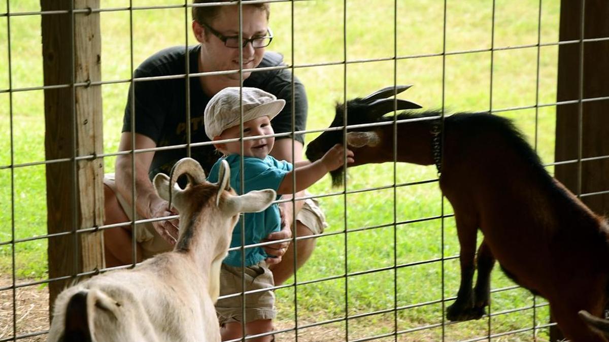 
“Farm Tour”: Oct. 1, 9:30 - 11 a.m.  McDowell Nature Center at the Hunter Farm, 13624 Providence Road, Weddington..  Take a tour of the Hunter Farm, where you will meet humanely raised farm animals, take a hayride, and learn about sustainable farming practices. Explore this local farm and purchase a pumpkin. Registration required. 18 and up. Register online at parkandrec.com or 704-588-5224.
