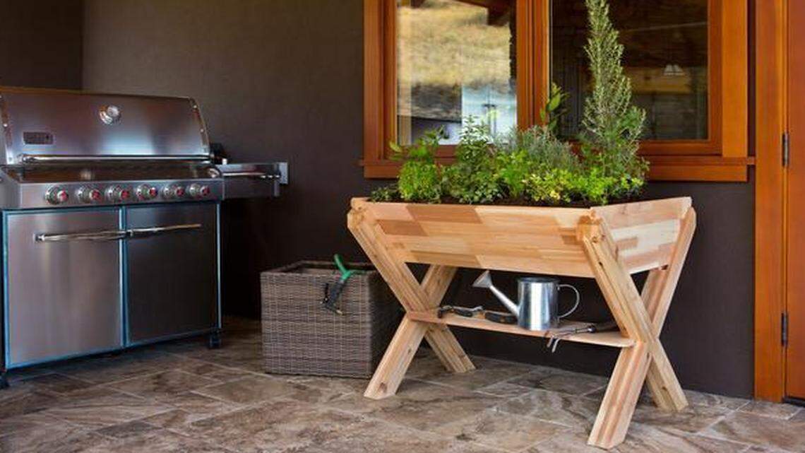 
V-shaped Urban Garden planter from CedarCraft.
