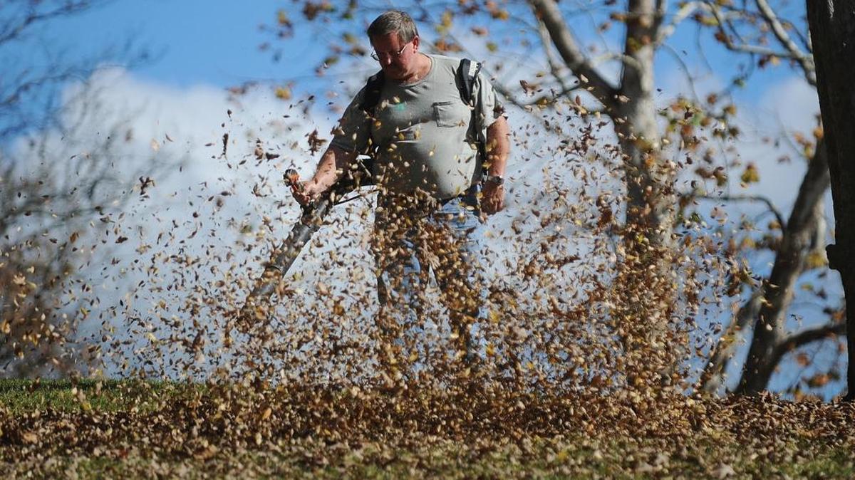 Leaf blowers create a lot of noise.