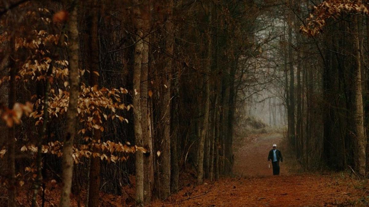 RibbonWalk includes woodland and wetland habitats with several miles of nature trails and a variety of native flora and fauna. An extraordinary grove of old-age beech trees designated as a "treasure tree grove" stands out a one of the most impressive features of the forest.