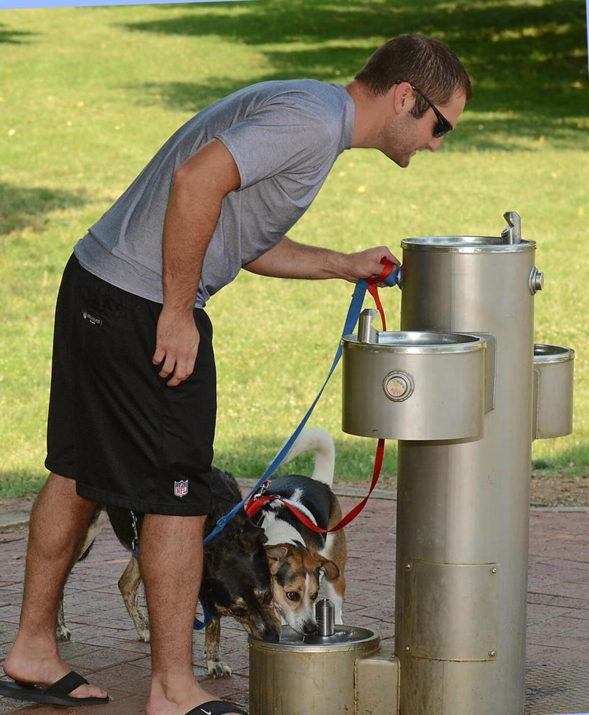 Adam Cahill leans in to get a drink of water along with his dogs at Freedom Park while walking on a hot Saturday.