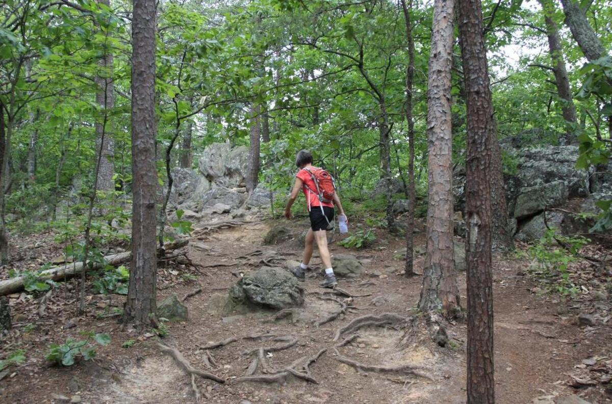 Connect with nature by hiking Crowders Mountain.