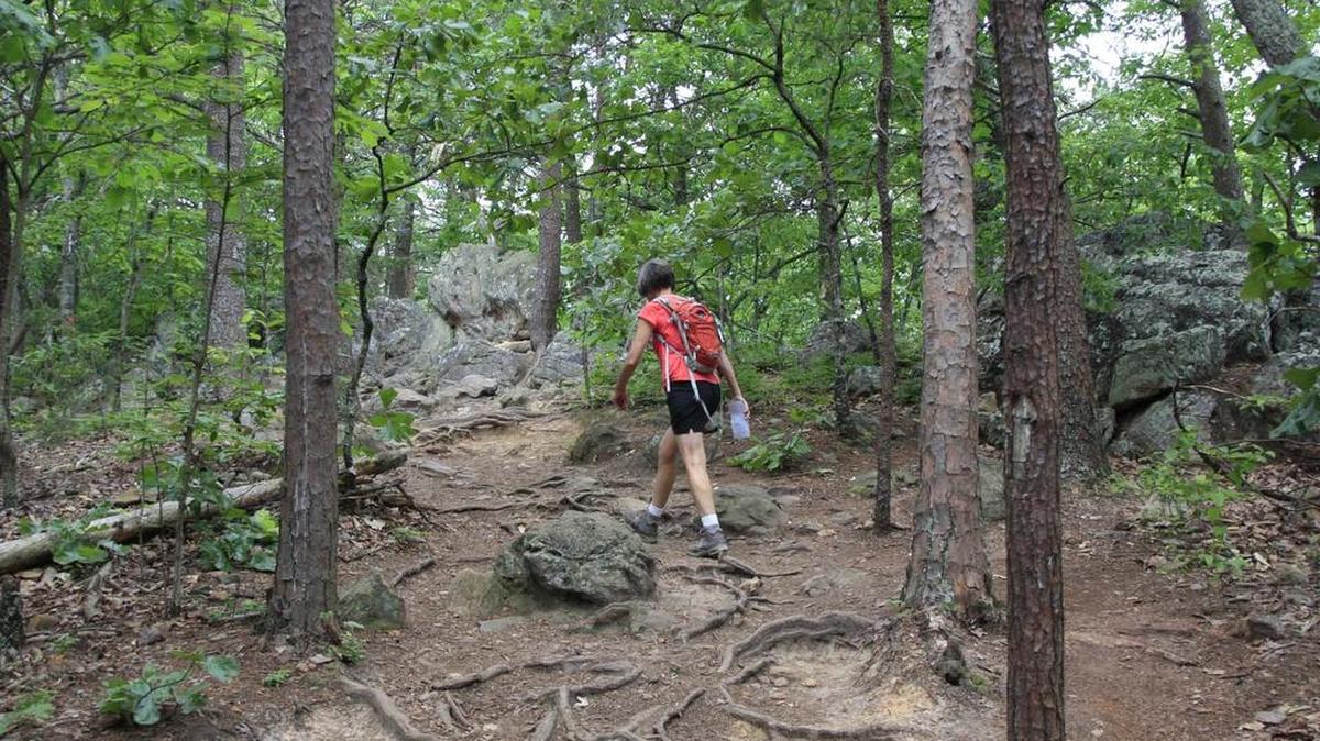 Connect with nature by hiking Crowders Mountain.