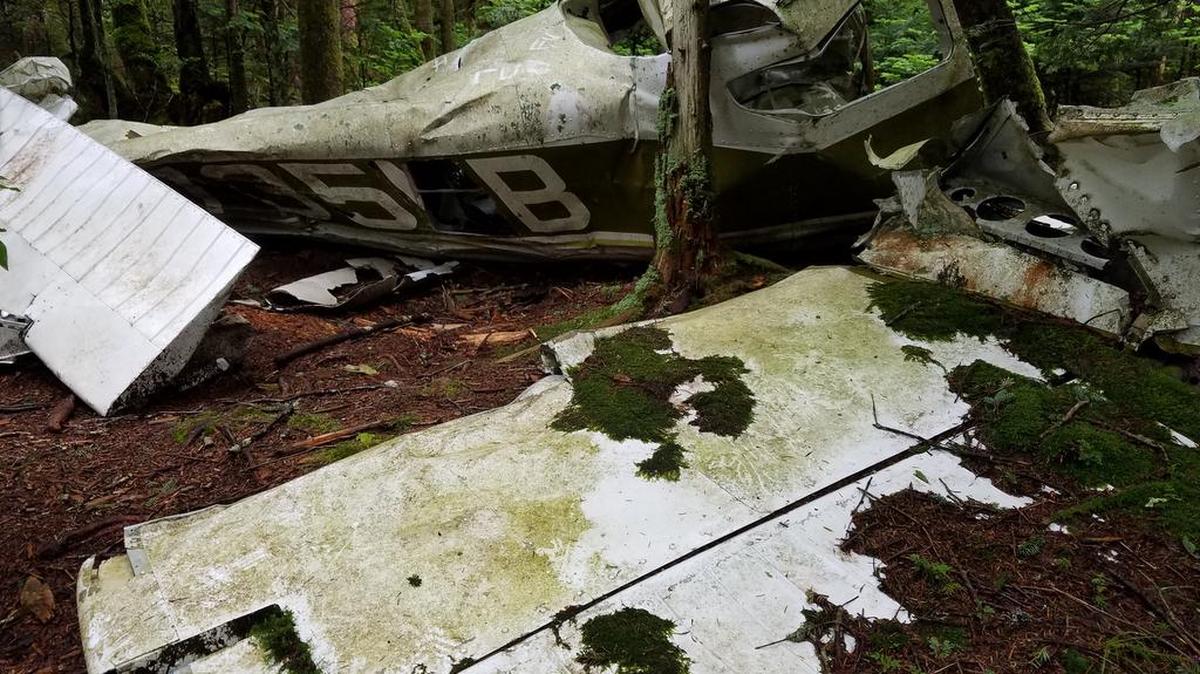 The wreckage of a plane near Calloway Peak off the Daniel Boone Scout Trail.