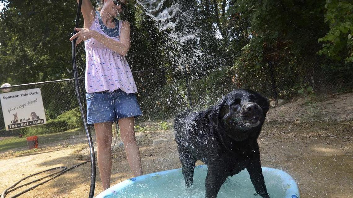 Jen Long of Charlotte cools down her Labrador, Hope, after playing fetch at Frazier Park dog park in 2011.