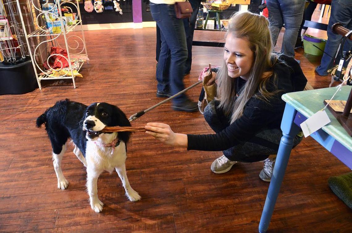 Kristen DePalmo and her dog, Kenzie, participate in a charity dog wash hosted by the Canine Cafe in 2015.