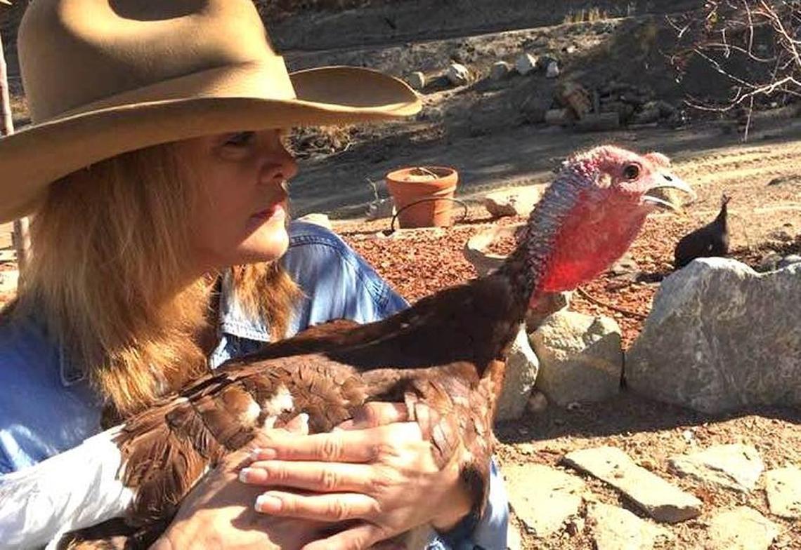 Jessica Hahn, now 58, with her pet turkey Pearl. Hahn and her husband, Frank Lloyd, a movie stunt man, live on a 45-acre ranch about an hour north of Los Angeles. They share the place with their animals.