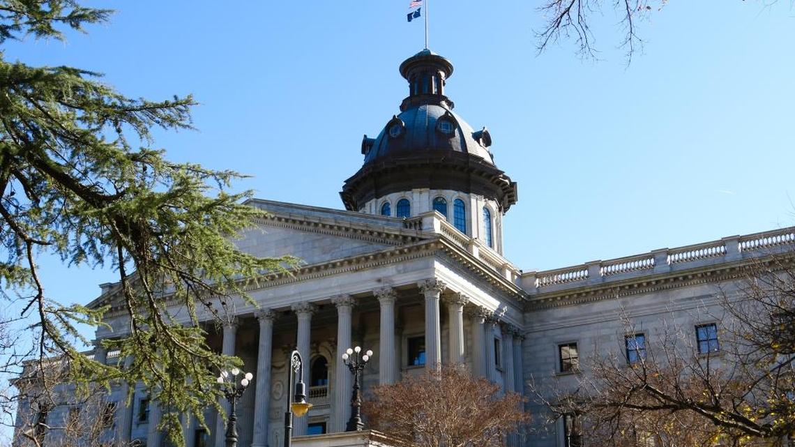 Two bills being considered by the S.C. General Assembly would prohibit any company that promotes diversity, equity and inclusion from doing business with state government.