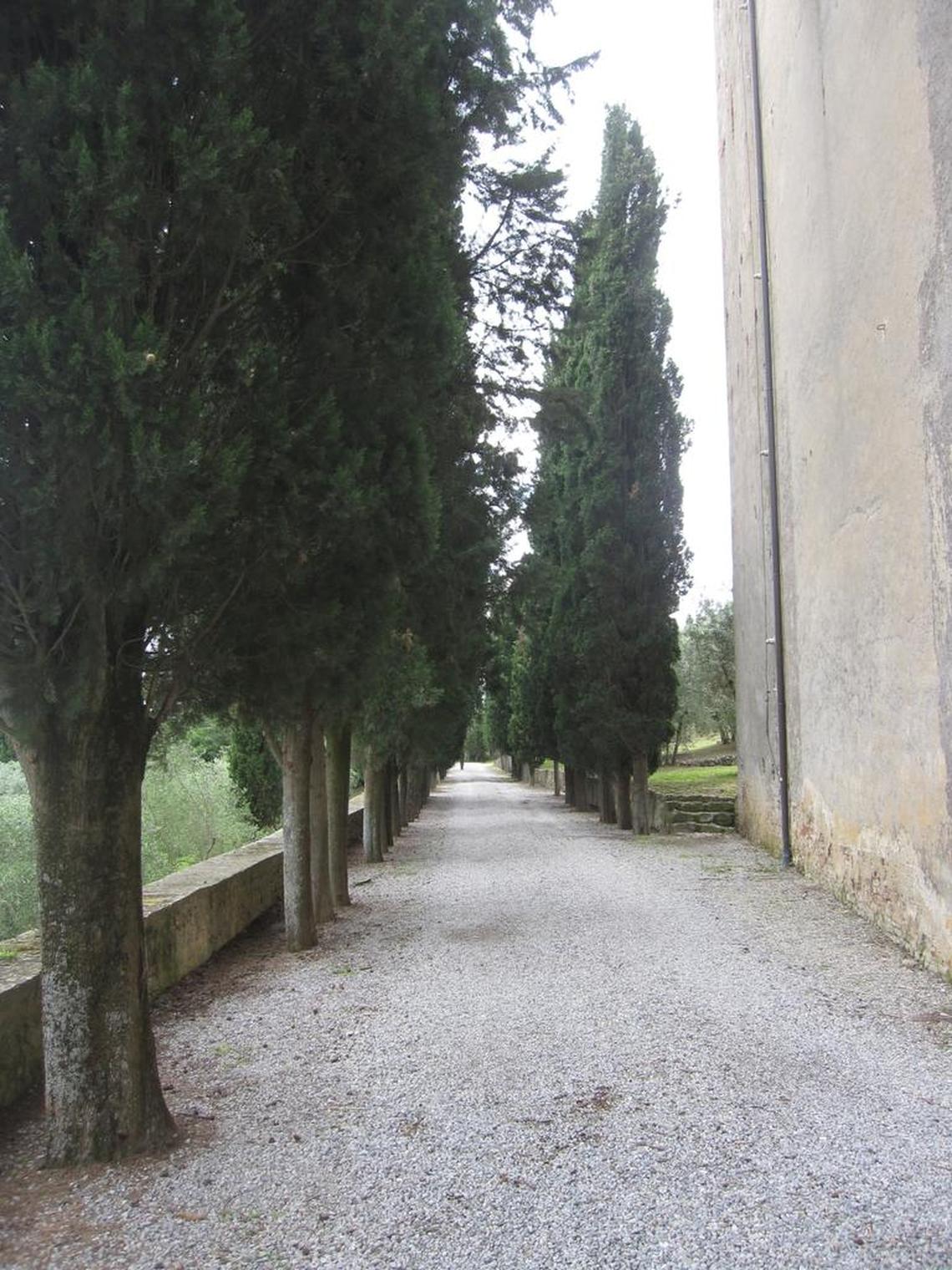 Cypress trees along the lane lead to Sant’Anna in Camprena, the former monastery and now agriturismo that Kathleen loved. It’s in the Val d’Orcia near the medieval Tuscan cities of Pienza, Montalcino and Montepulciano.