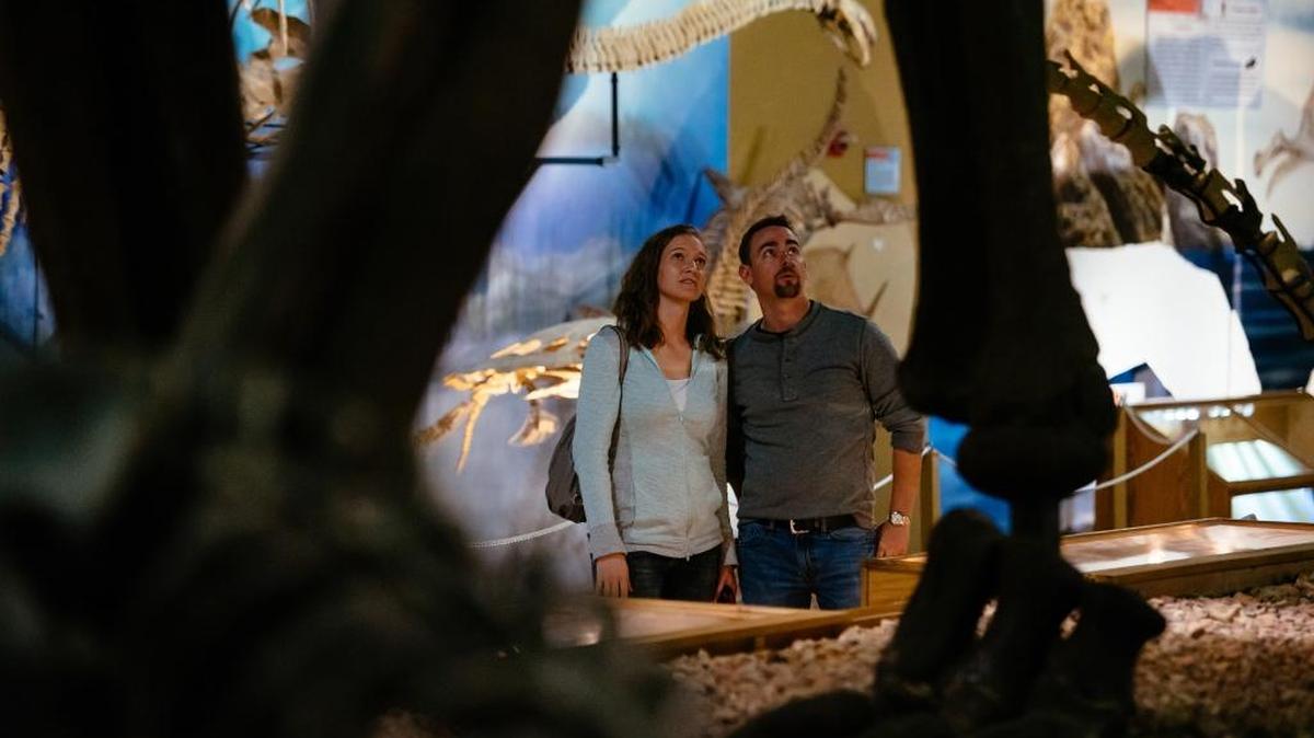 Cathy Blesdoe and Eric Geroge, tourists from Denver, look at a fossil at the Wyoming Dinosaur Center in Thermopolis, Wyoming.