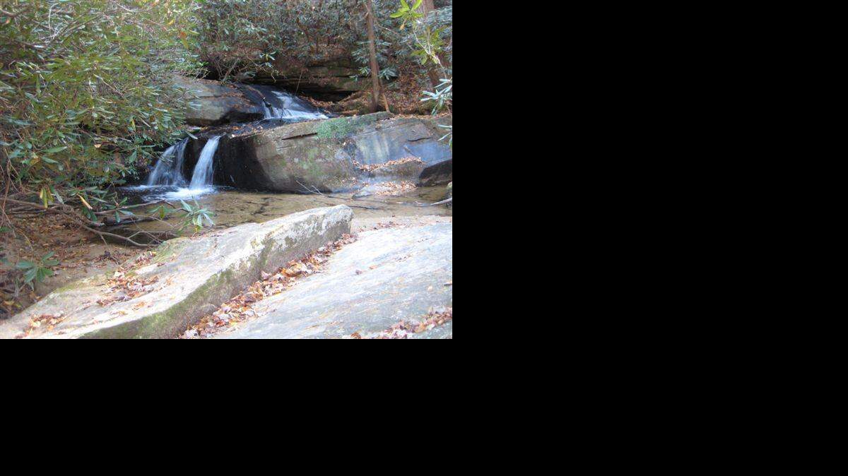 
Babbling brooks, wildflowers and abundant bird life await on Keowee-Toxaway State Park’s trails. 
