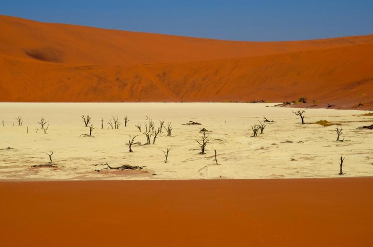 Big Daddy Dune surrounds the camel thorn trees and dried clay of Deadvlei.