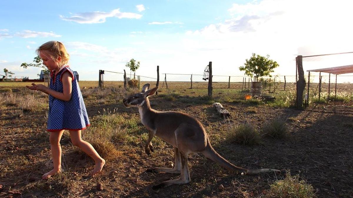 
A girl living in Longreach, Australia – in rural, central Queensland– feeds a young kangaroo. On her seven-week stay in Australia, Emily Hedrick writes, “I found a mob of ’roos living ‘in the wild’ in apparent harmony with their human neighbors.” 



