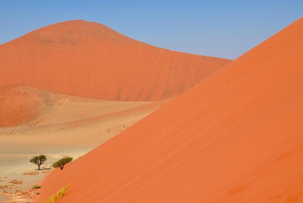Hot sand poured into my boots as I hiked Dune 45 located in the Namib Naukluft National Park.