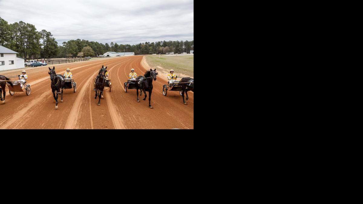 
These Pinehurst harness-racing drivers sit in two-wheelers behind their horses, holding the drive lines connected to the harnesses and tapping instructions to the horses with their whips.
