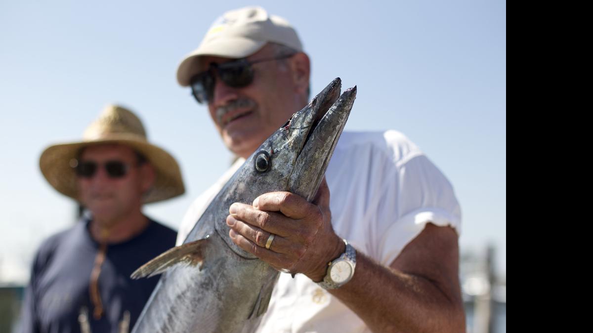 
Don Geesaman of Boiling Springs Pa. poses for a photograph with a prized Wahoo caught on a deep sea fishing trip aboard True Grit on Tuesday, June 16, 2015 at the Oregon Inlet Fishing Center. 
