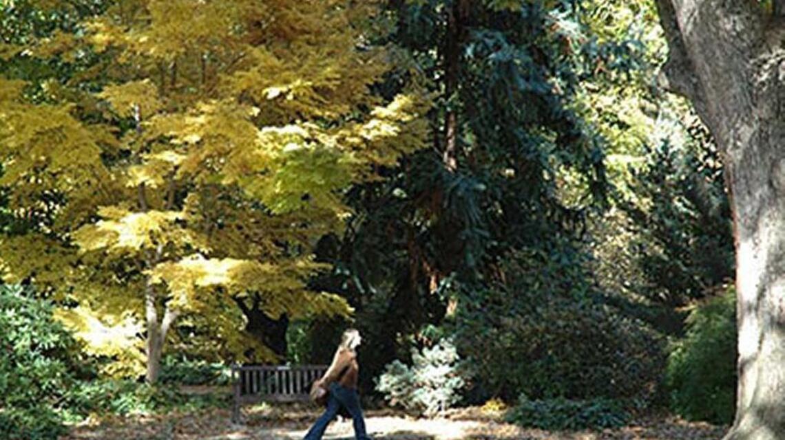 Cheap college thrills? Visit an arboretum