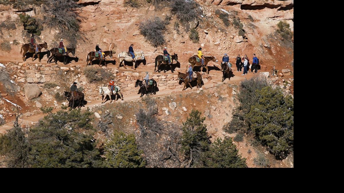 
Mule riders begin their journey down the Bright Angel Trail on in the Grand Canyon en route to Phantom Ranch, more than 2,000-feet below the South Rim.
