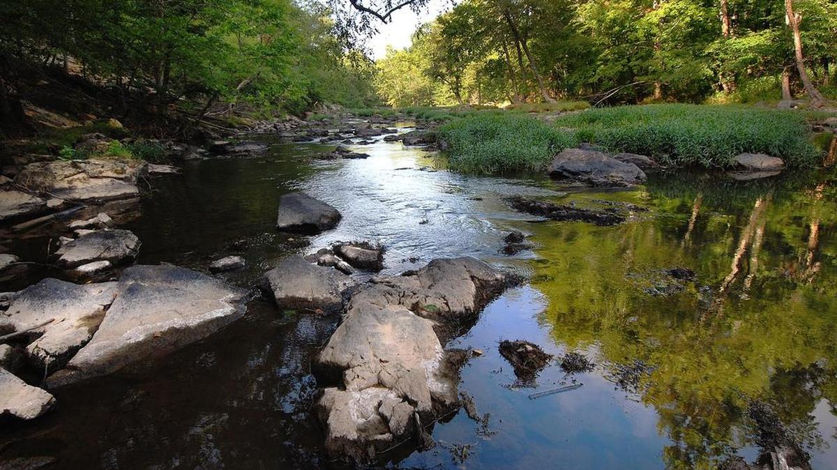 Five access points provide entry to Eno River State Park’s rugged environment, providing opportunities for hiking, picnicking, fishing, camping and canoeing.