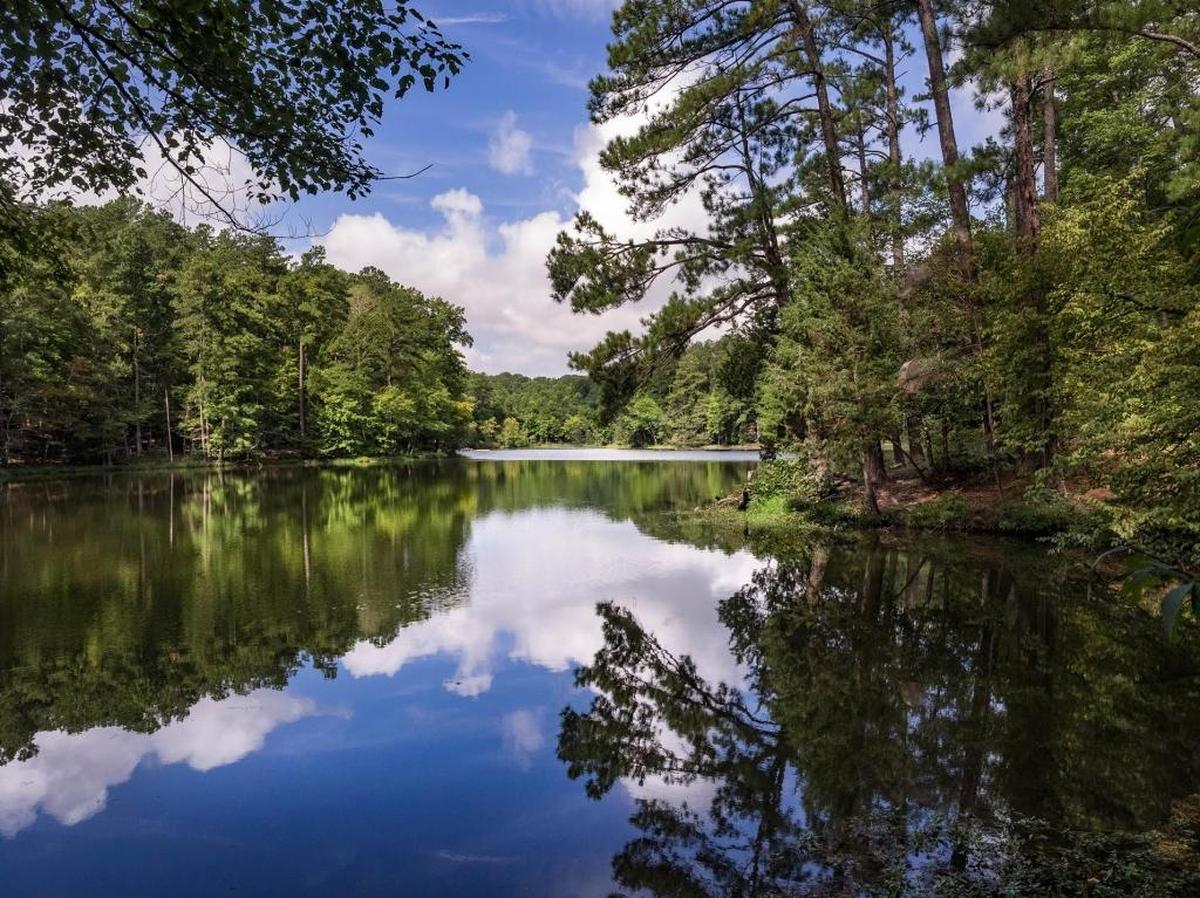 William B. Umstead State Park, northwest of Raleigh,is centered on three man-made lakes and offers the simple pleasures of nature.