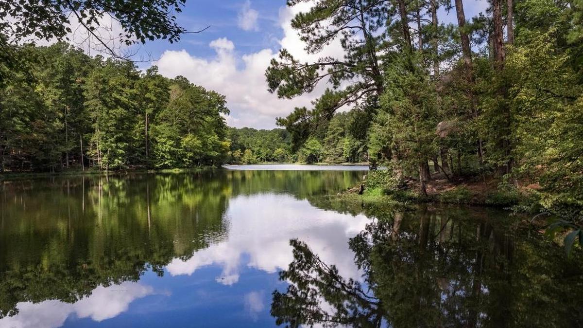 William B. Umstead State Park, northwest of Raleigh,is centered on three man-made lakes and offers the simple pleasures of nature.