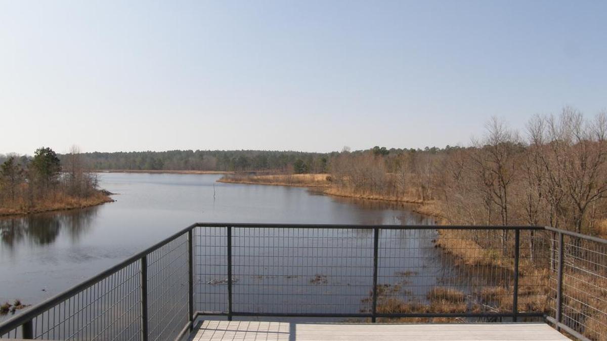 An observation tower at Carolina Sandhills National Wildlife Refuge provides an excellent vantage point from which to spot refuge wildlife.