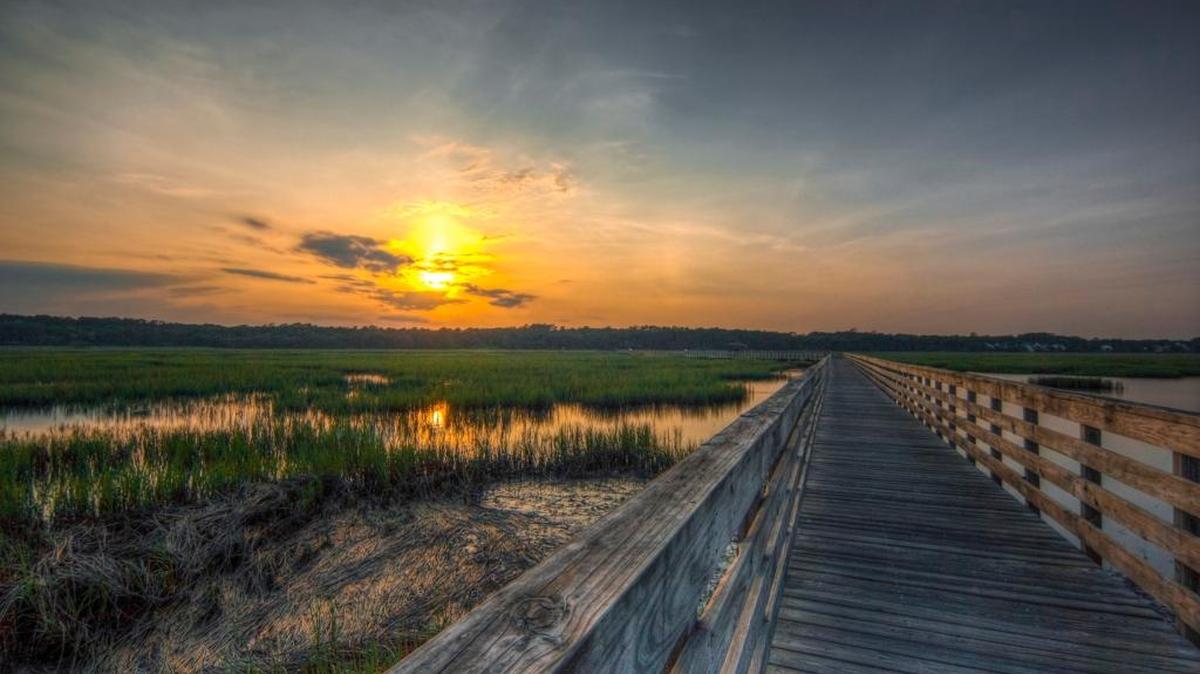 Huntington Beach State Park is one of only four S.C. parks nestled against the Atlantic.