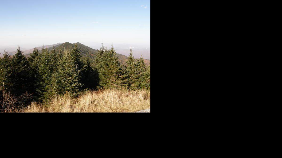 
Looking north from the summit of Mount Mitchell, the view includes several of the highest peaks in the eastern United States. 
