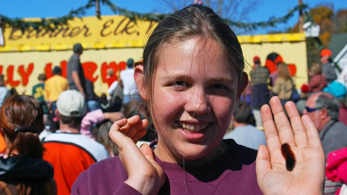 
Banner Elk native Isabella Oakes shows off a furry friend during the Woolly Worm Festival.
