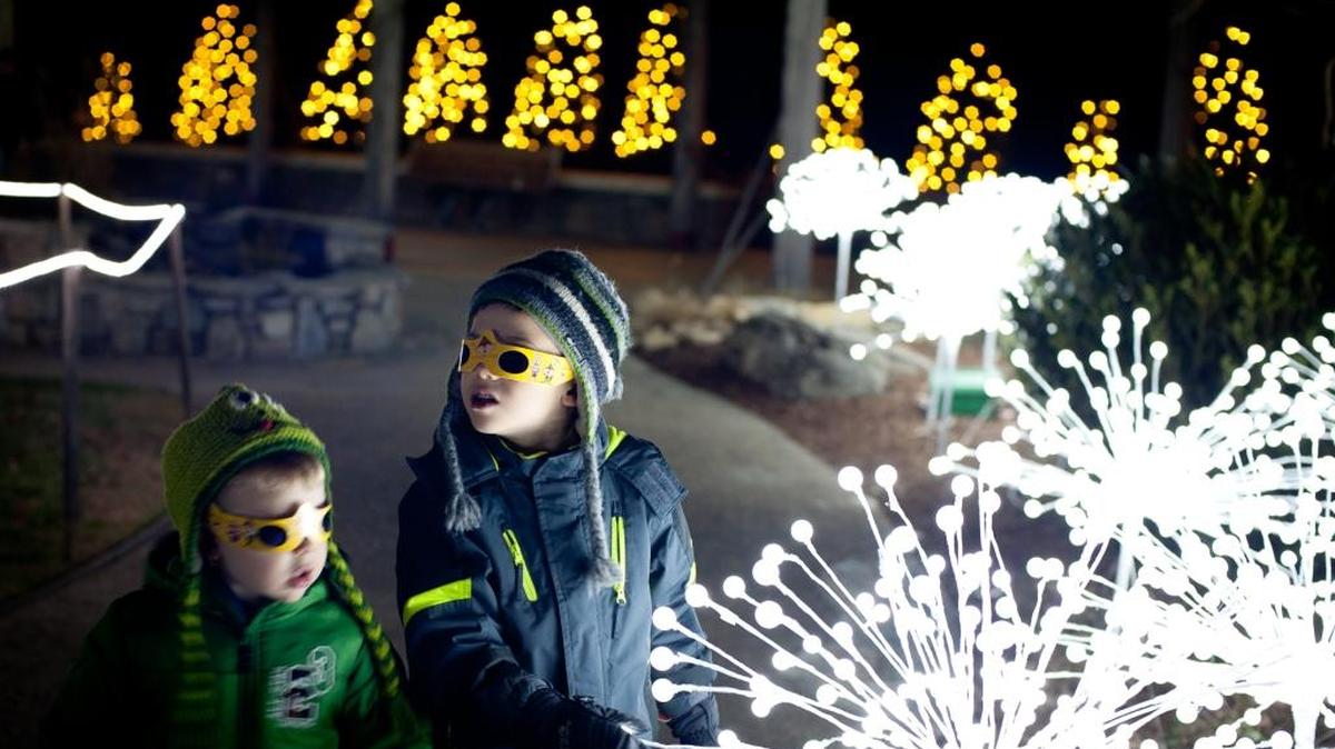 The Winter Lights show is a show almost entirely composed of more than 200,000 energy-efficient LED lights.