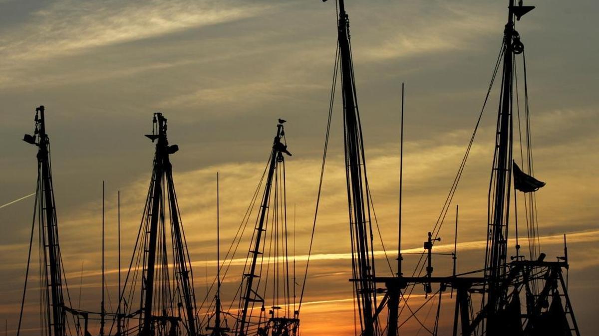 
A bird takes flight off the top of a shrimp boat at sunset on Shem Creek.
