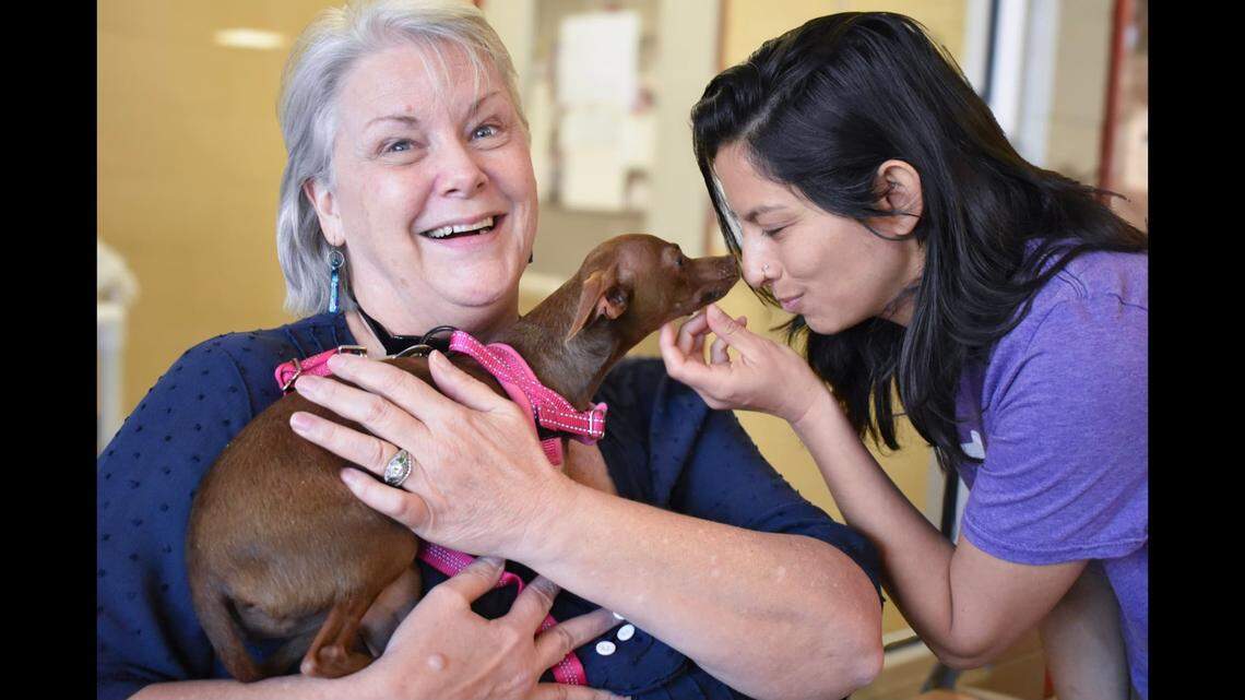 The “sweet” three-legged puppy was adopted in North Carolina.