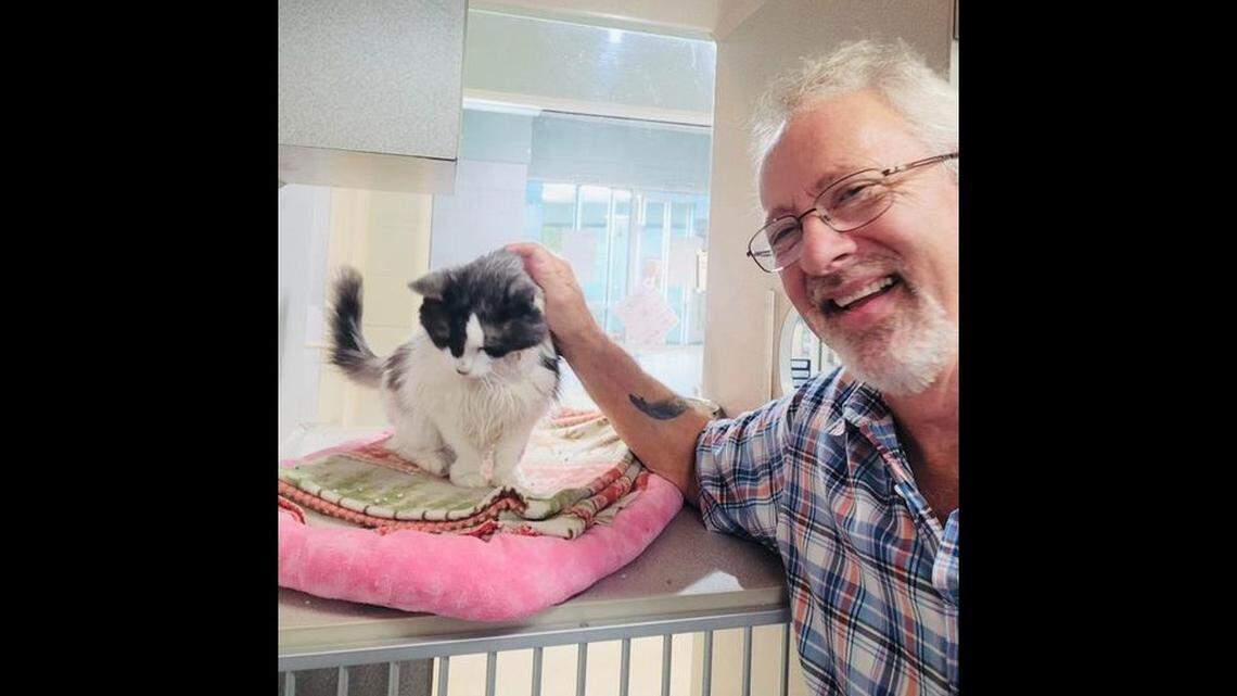 A senior cat struggling at a North Carolina shelter got a new home.