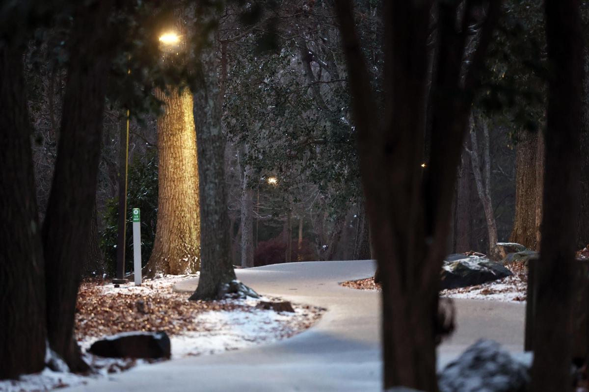 Sleet falls in Cherry Park on Friday afternoon as a winter storm hit.
