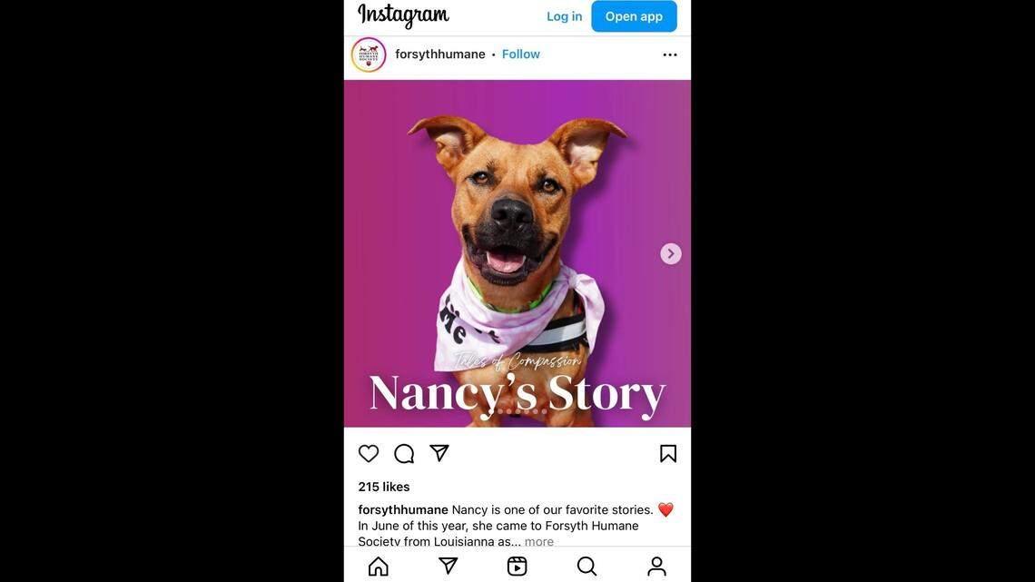 A dog waited more than 100 days in a shelter before her heartwarming adoption.