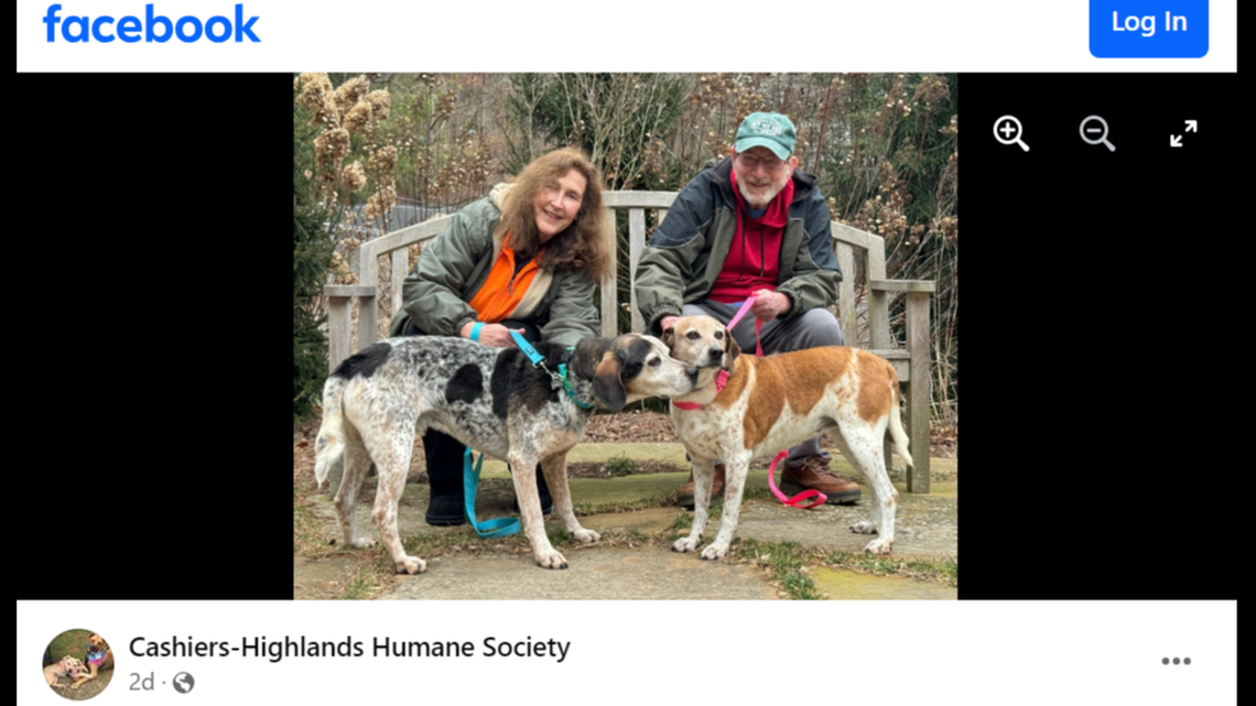 Romeo and Juliet’s luck took a turn after more than 1,000 days of waiting for a home, a North Carolina shelter said.