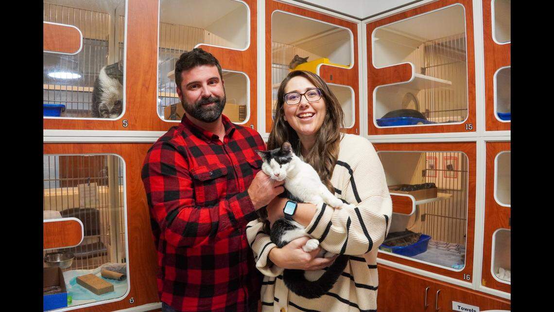 Domino the cat got a new home after he had “been through so much,” a North Carolina shelter said.