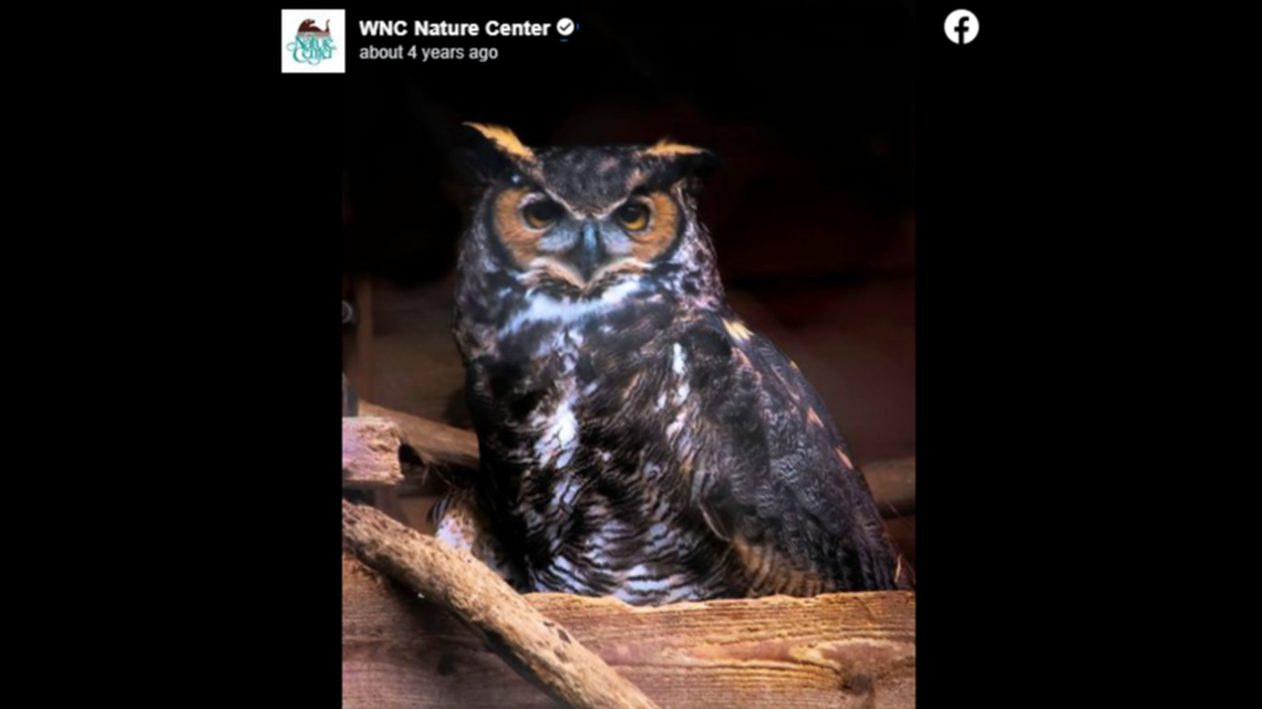 Scruff had found a home at the nature center for 36 years.