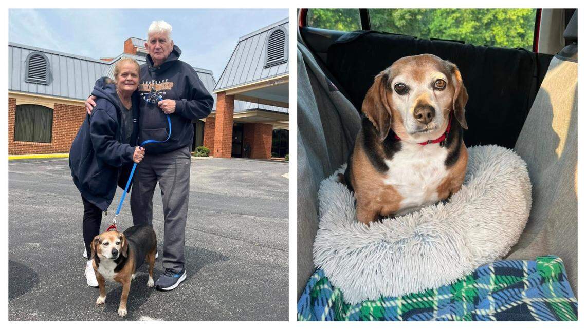 A dog in and out of a North Carolina shelter was adopted into a new home.
